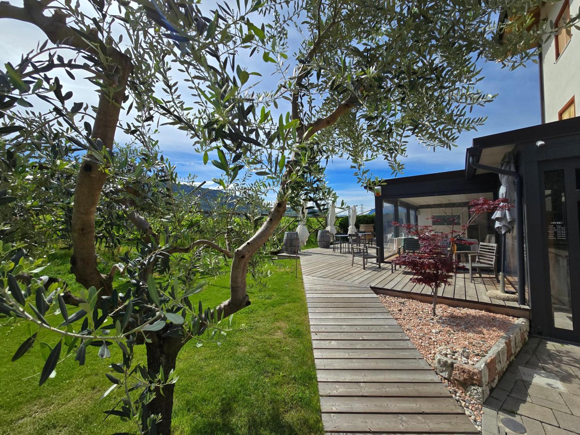 Villa Antico Fienile Agritur Mezzocorona Exterior foto